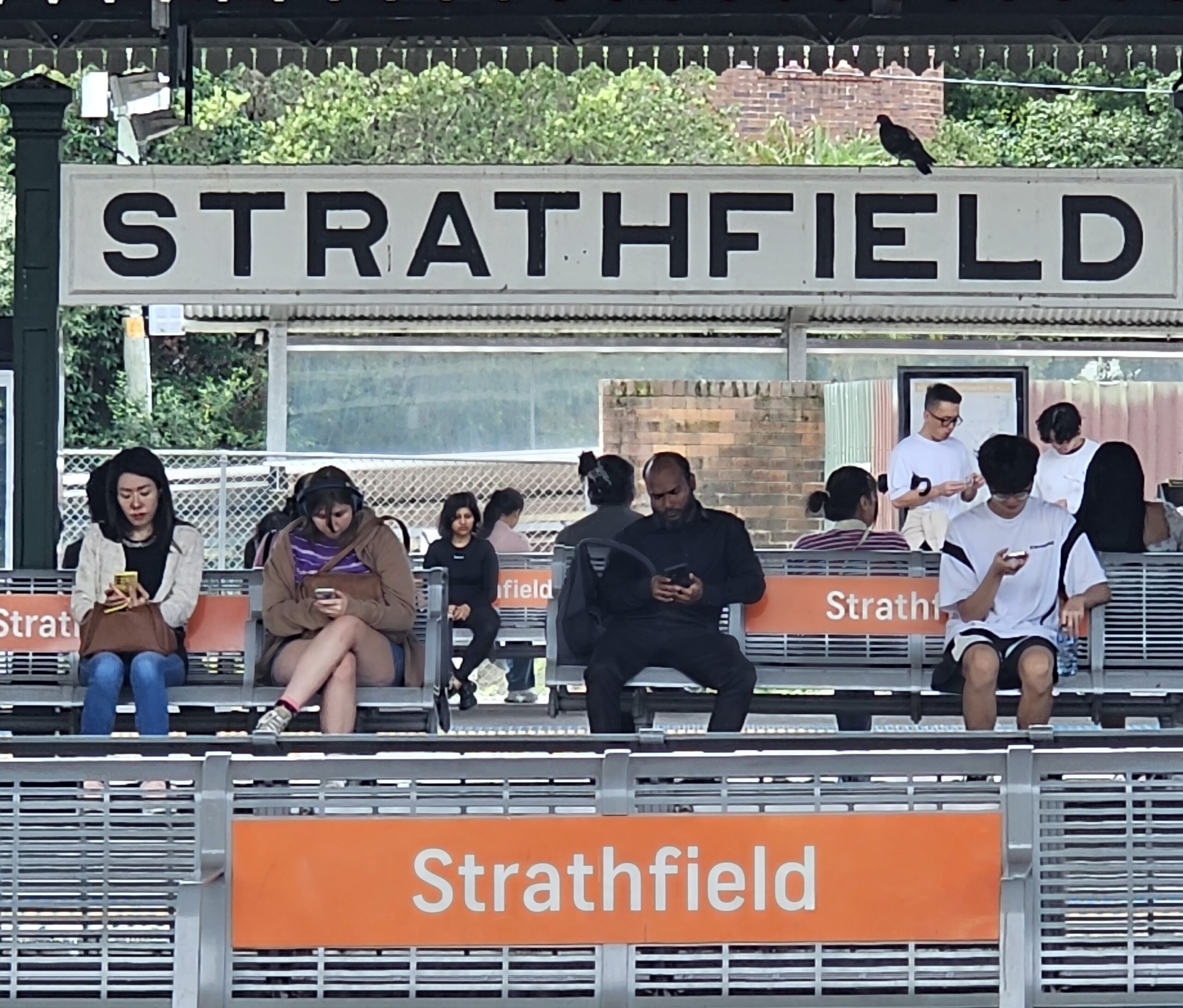 Sydney Suburb Walk – Strathfield