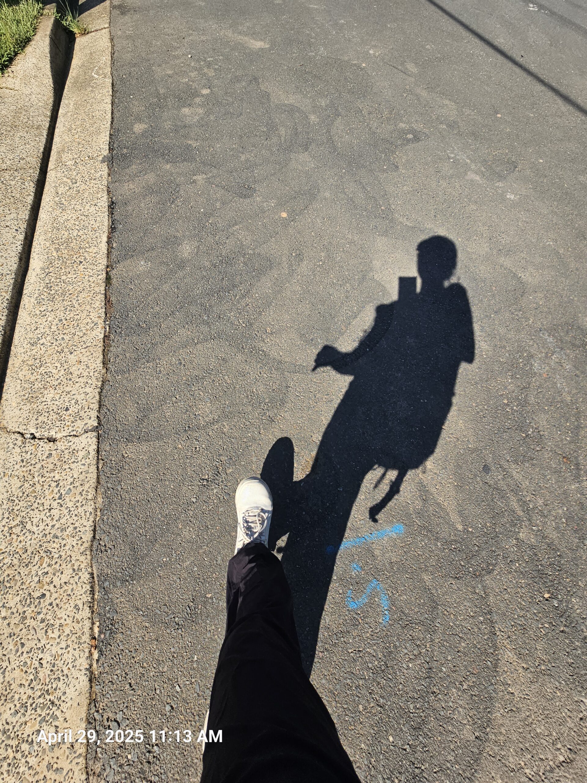 Walk in Sydney Suburb – North Ryde